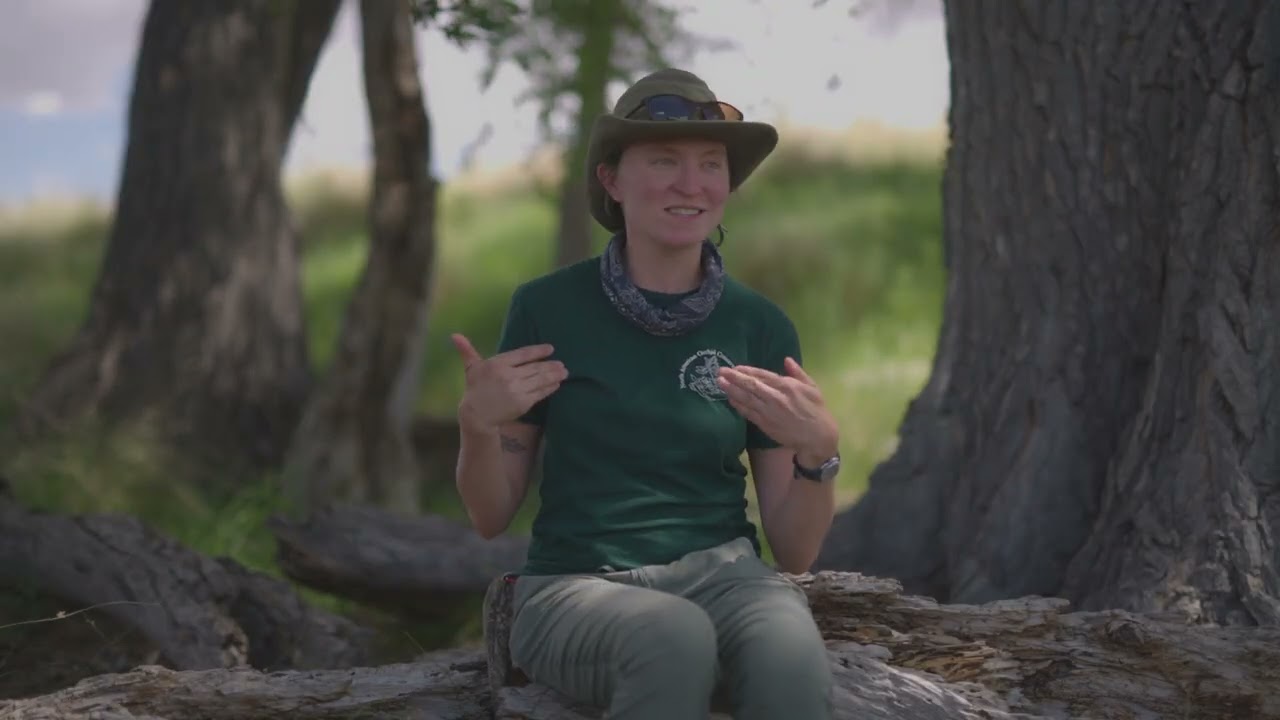 Saving Arizona's Rarest Orchid: The Canelo Hills Ladies' Tresses