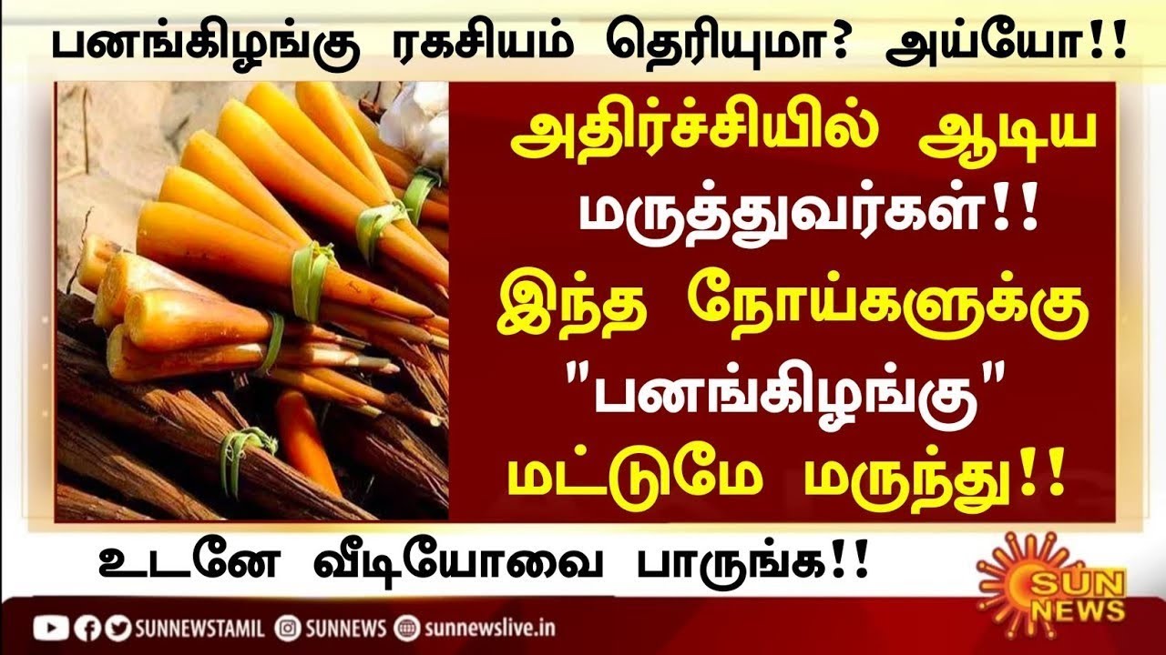 பனங்கிழங்கு மருத்துவ அற்புதம்| Pana Kilangu Health Benefits in Tamil|Palm Sprouts Health Tips Tamil