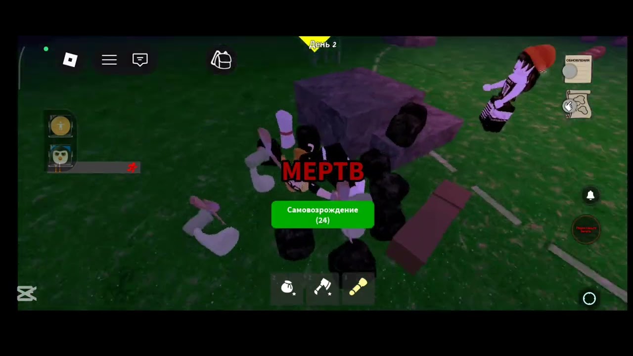Я буду иногда играть с Красоткой
