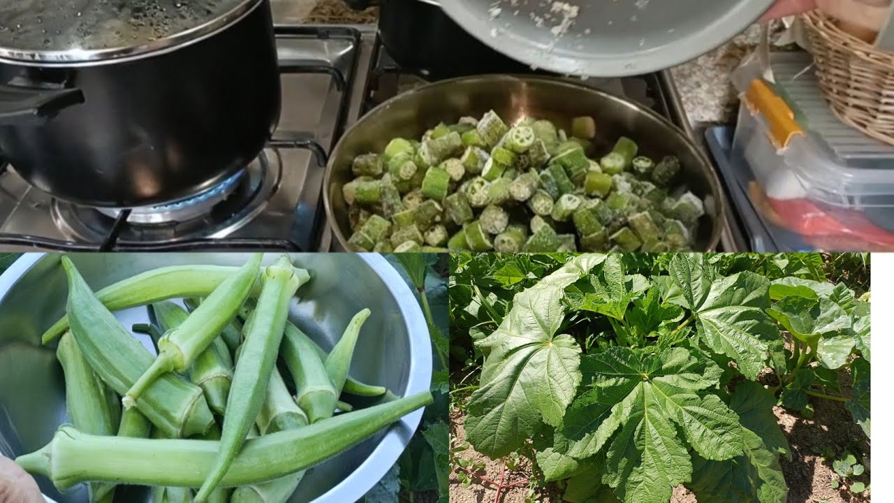 Como fazer quiabo congelado? Como tirar a baba?