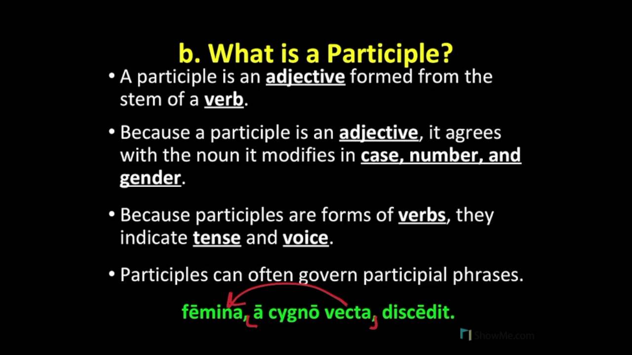 04 Perfect Passive Participles