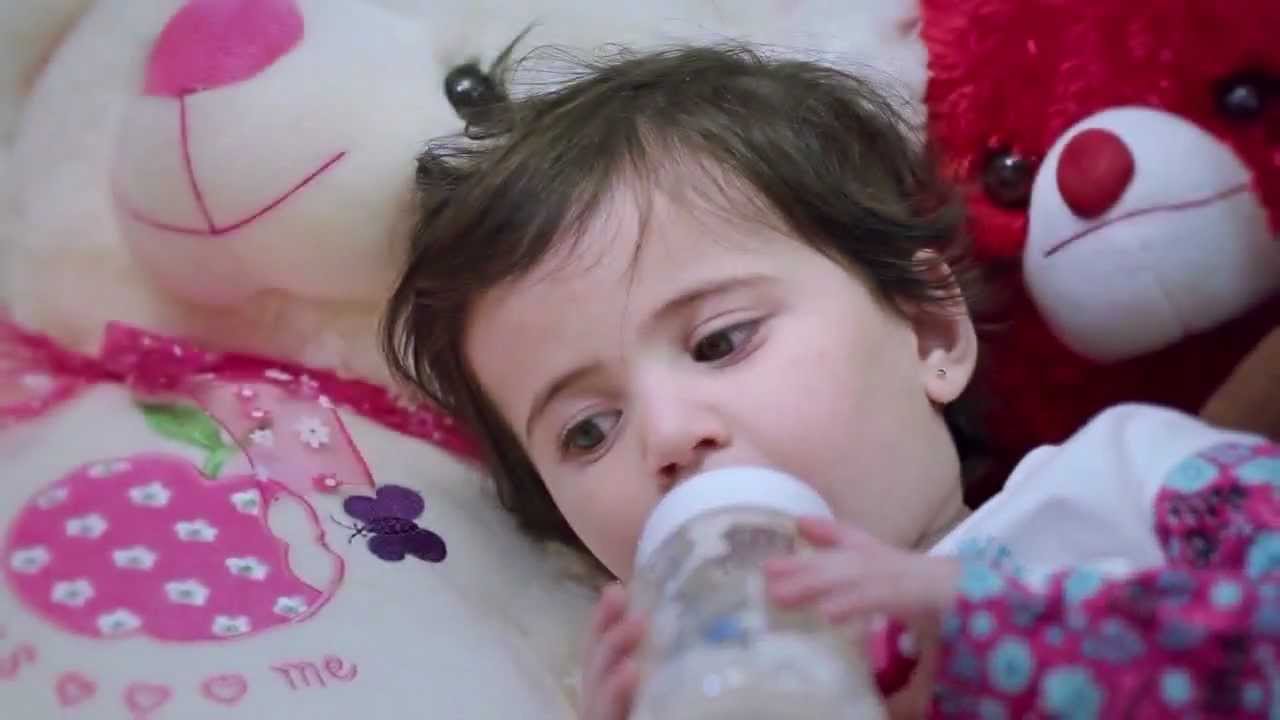 toyor al jannah 2013 HD