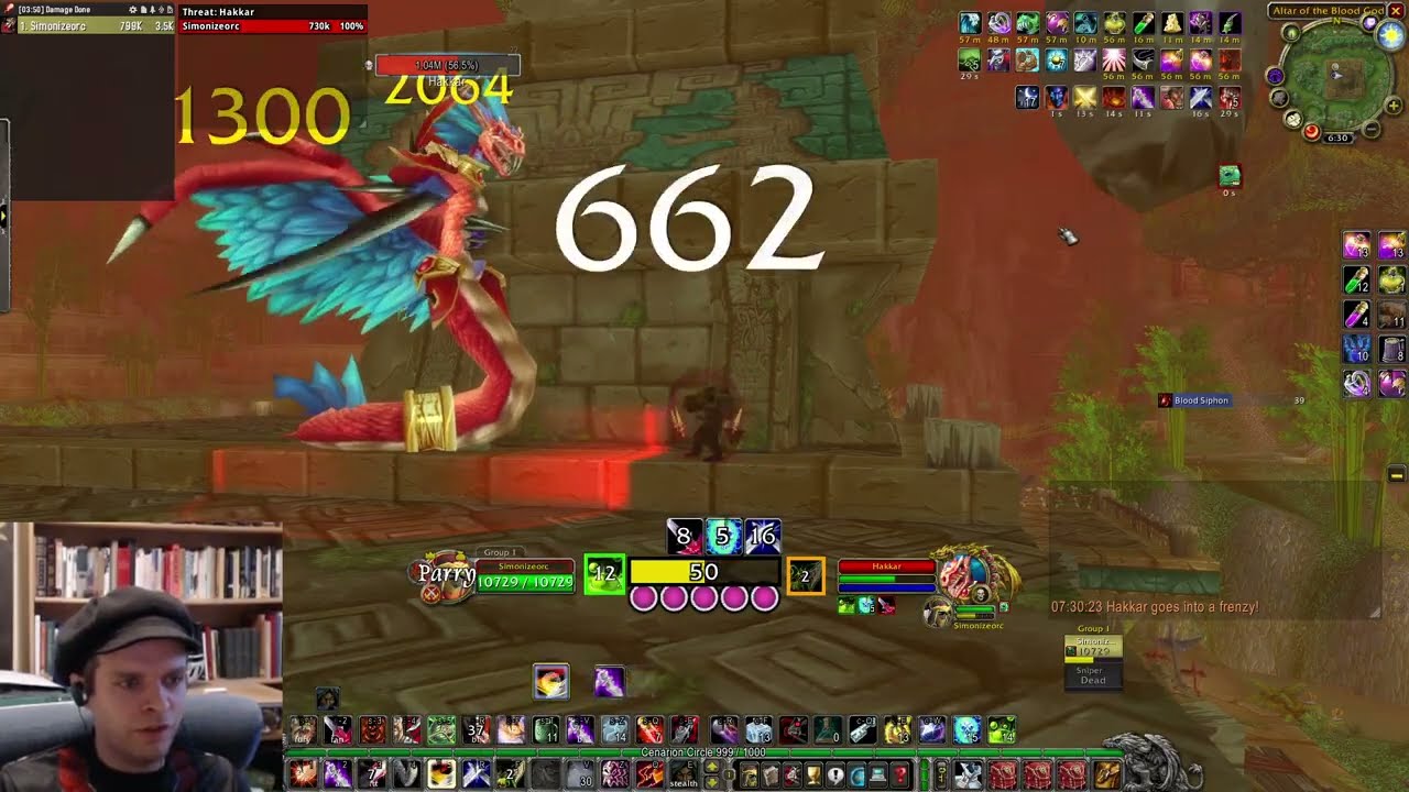 Solo Spider, Hakkar, & Raptor in just 30 minutes Full Run | Season of Discovery
