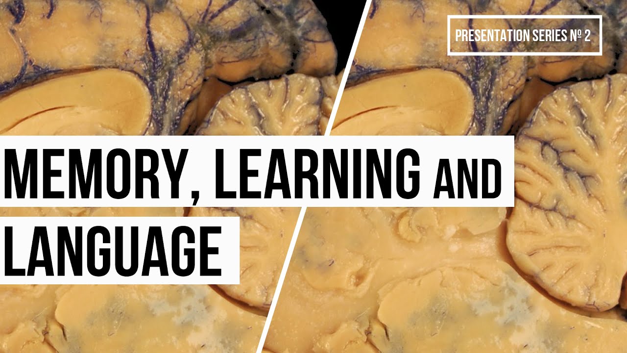 Memory, Learning and Language (Video Nº10, Series #2)
