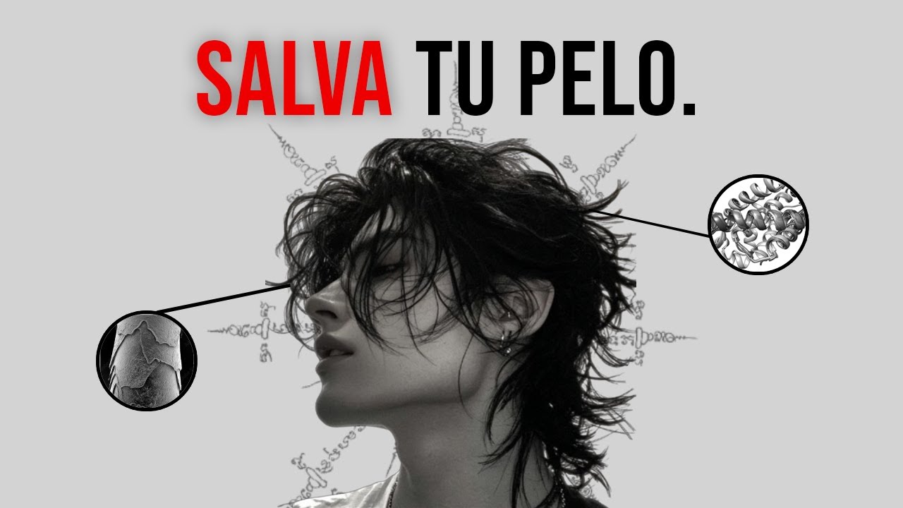 ELEVA tu pelo en 4 pasos.