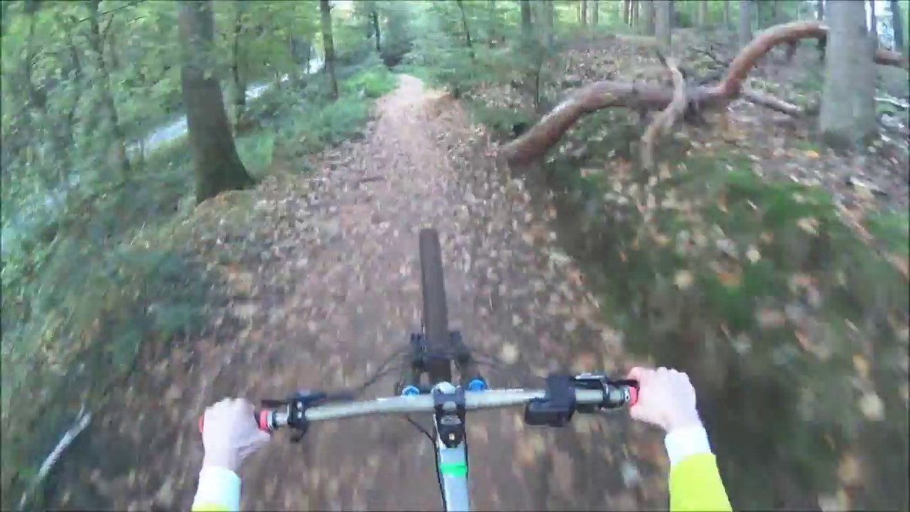 Autumn is coming... // GSDG Riders