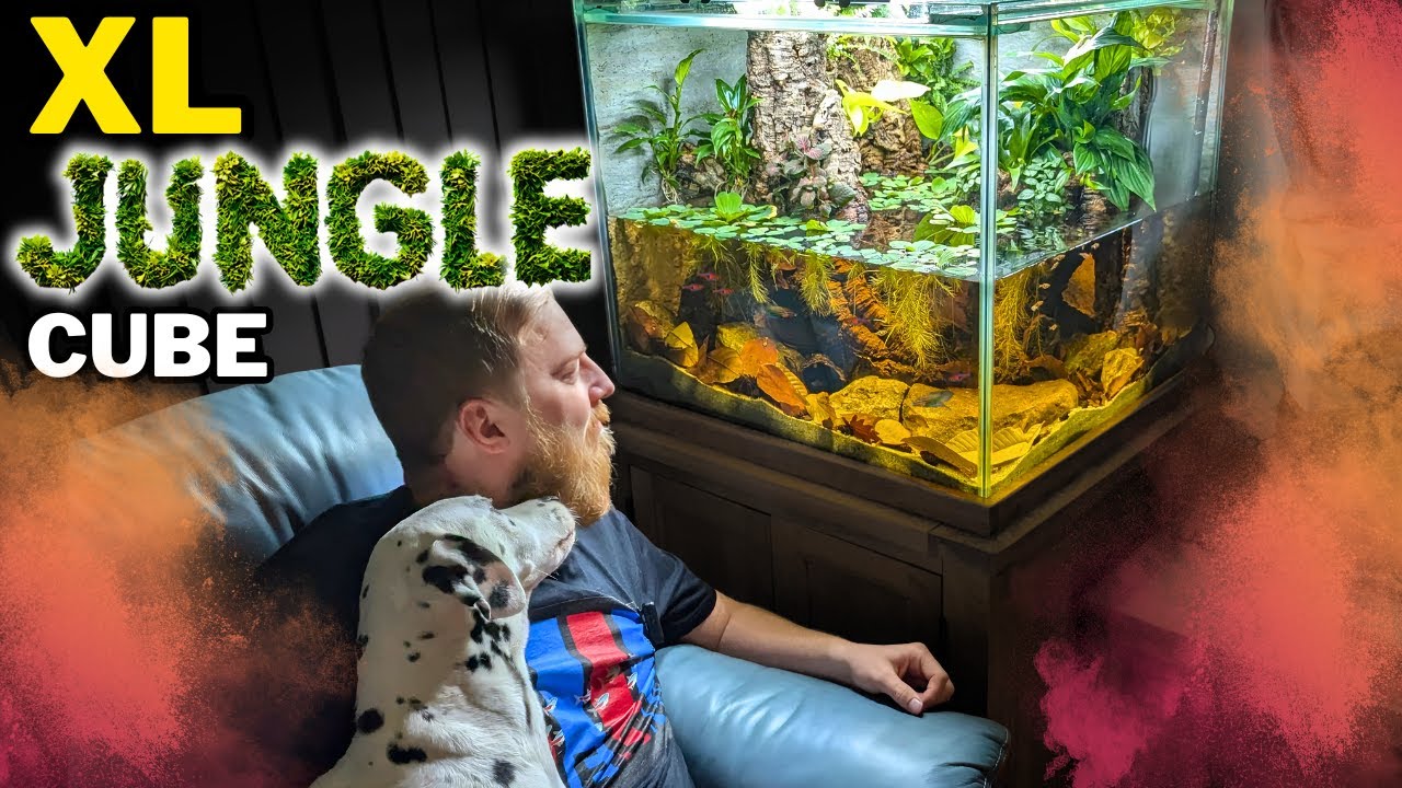 How to create an EPIC flooded forest aquarium! Aquascape tutorial.