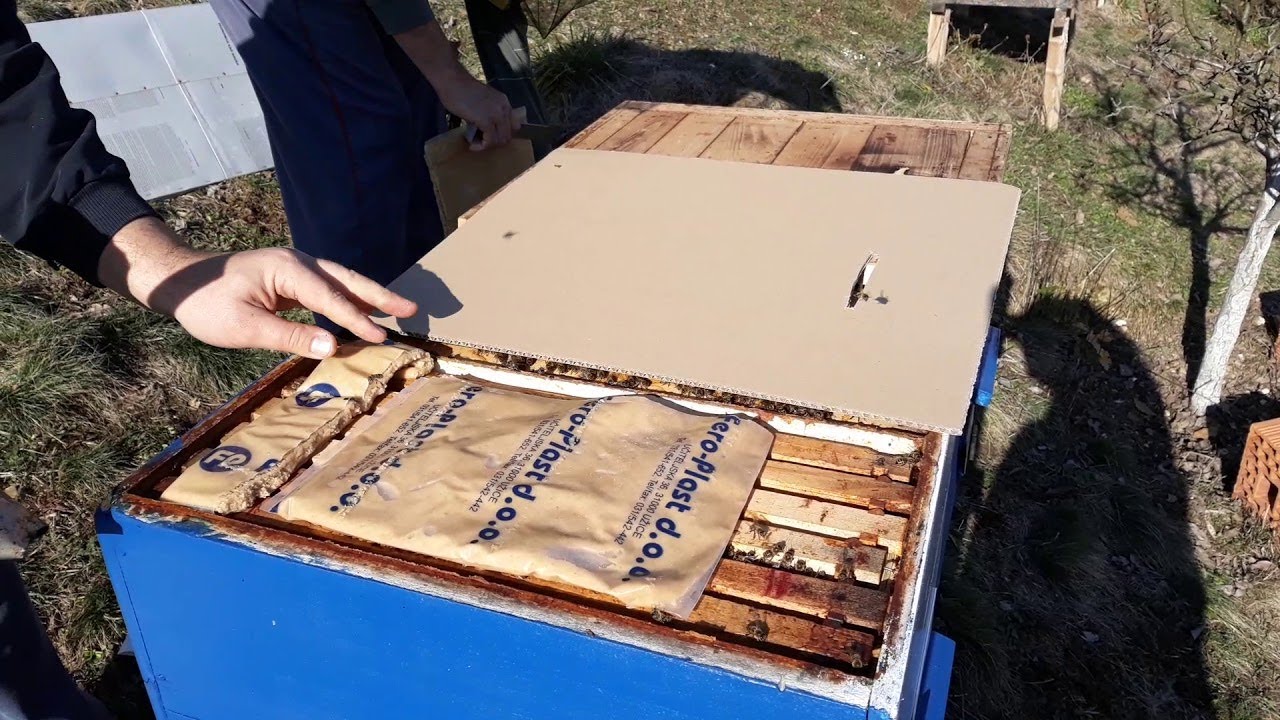 Pčele - Kako se otvaraju i postavljaju pogače?