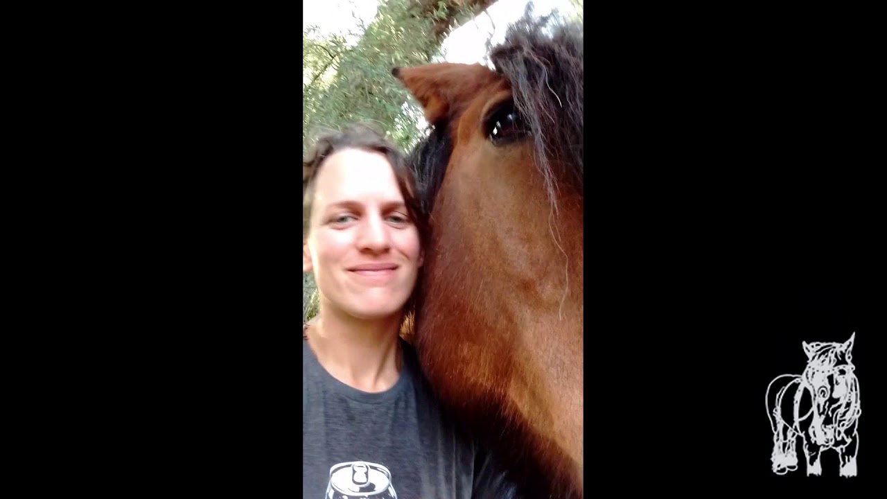 Harmonica avec un cheval de trait