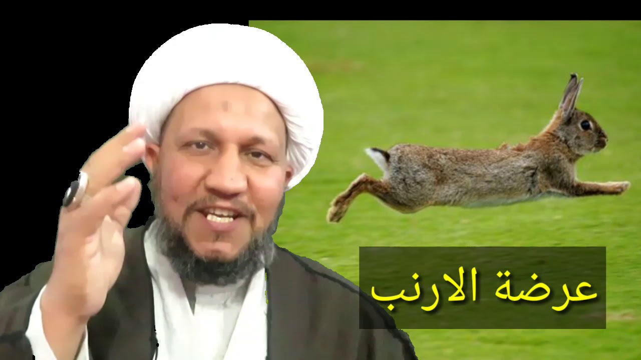 ( عرضة الأرنب  )  ورمي النقود بسبب ذلك الاعتراض  .   .. حقيقة  أم خرافة  ؟