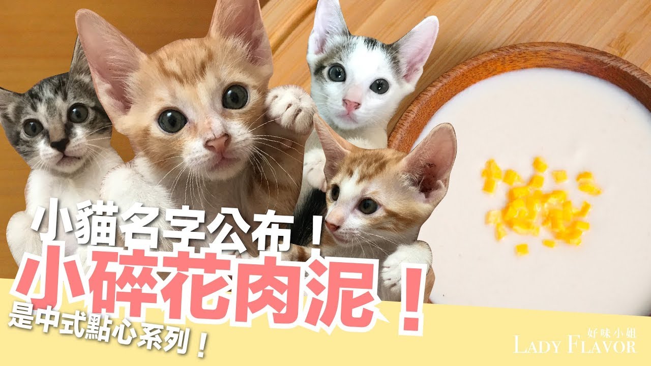 小貓名字大公開！長大來離乳囉～小碎花肉泥！【貓副食食譜】好味貓廚房EP103
