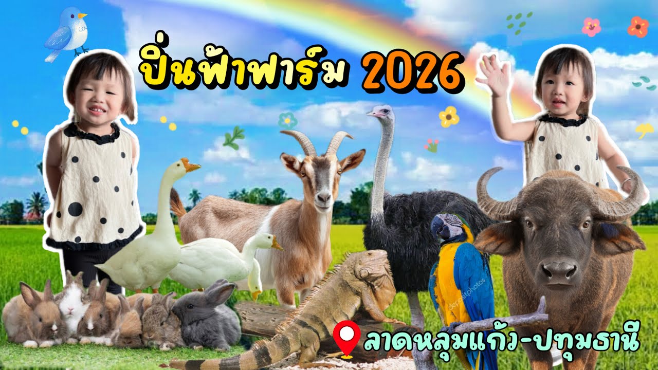 ปี 2026 คาเฟ่ที่เด็กสนุก ผู้ใหญ่สบายใจ | ปิ่นฟ้าฟาร์ม One Day Trip ทั้งครอบครัว | AvaGo Channel