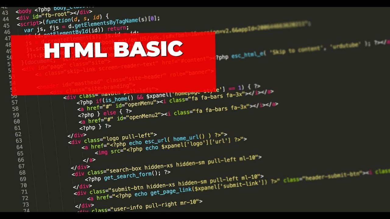 Mastering the Basics of HTML: A Beginner's Guide || Web Development Course || Techzoom TV