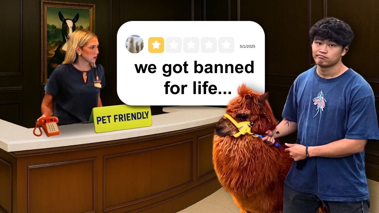 We Took an Alpaca to a Pet Friendly Hotel