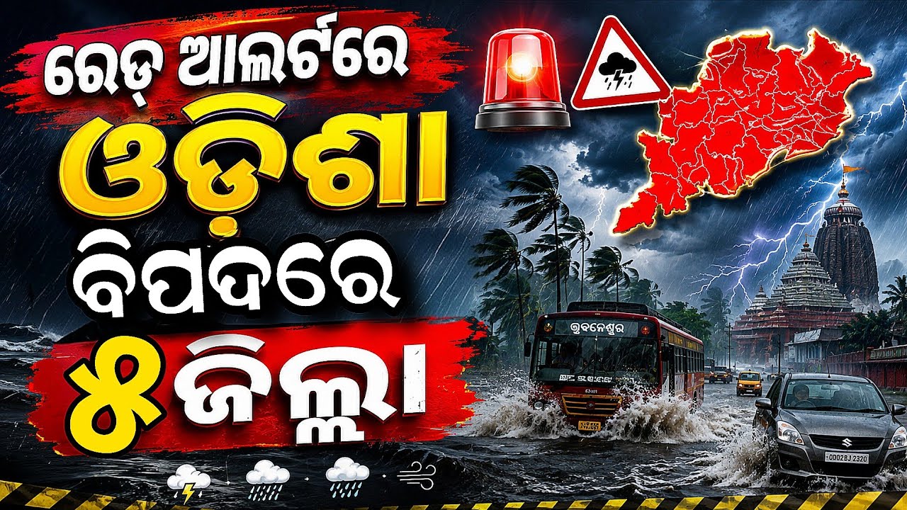 Red Alert in Odisha Today | IMD Issues Red Warning for 5 Districts | Deep Depression Weather Update
