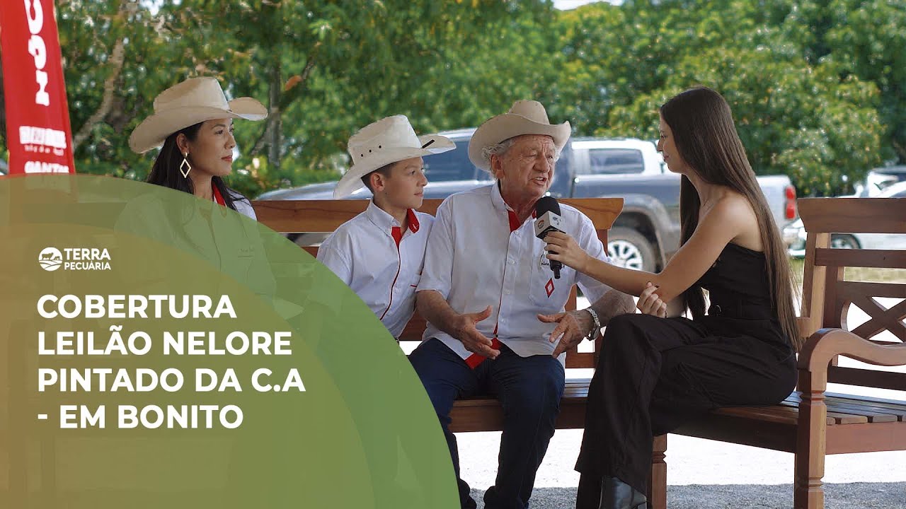 TERRA PECUÁRIA - COBERTURA LEILÃO NELORE PINTADO DA CA - EM BONITO