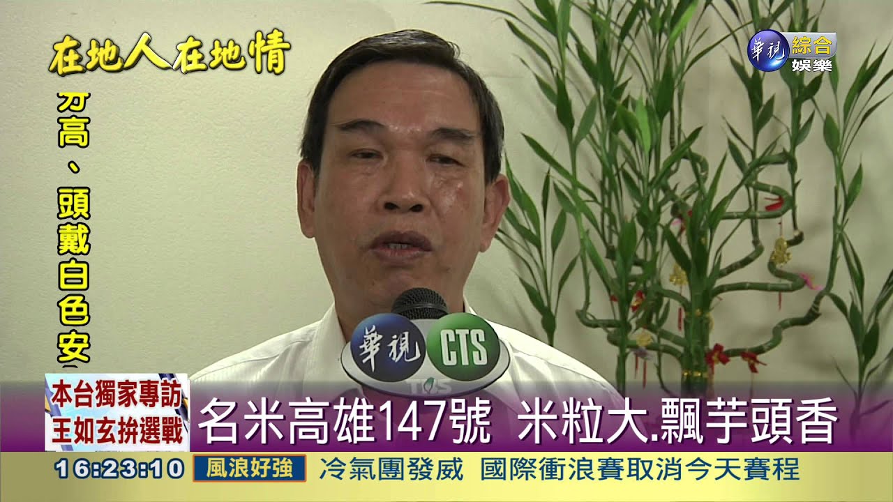 高雄147號口感佳 稱霸台灣名米