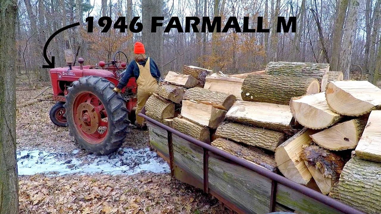 Firewood Cutting and Hauling