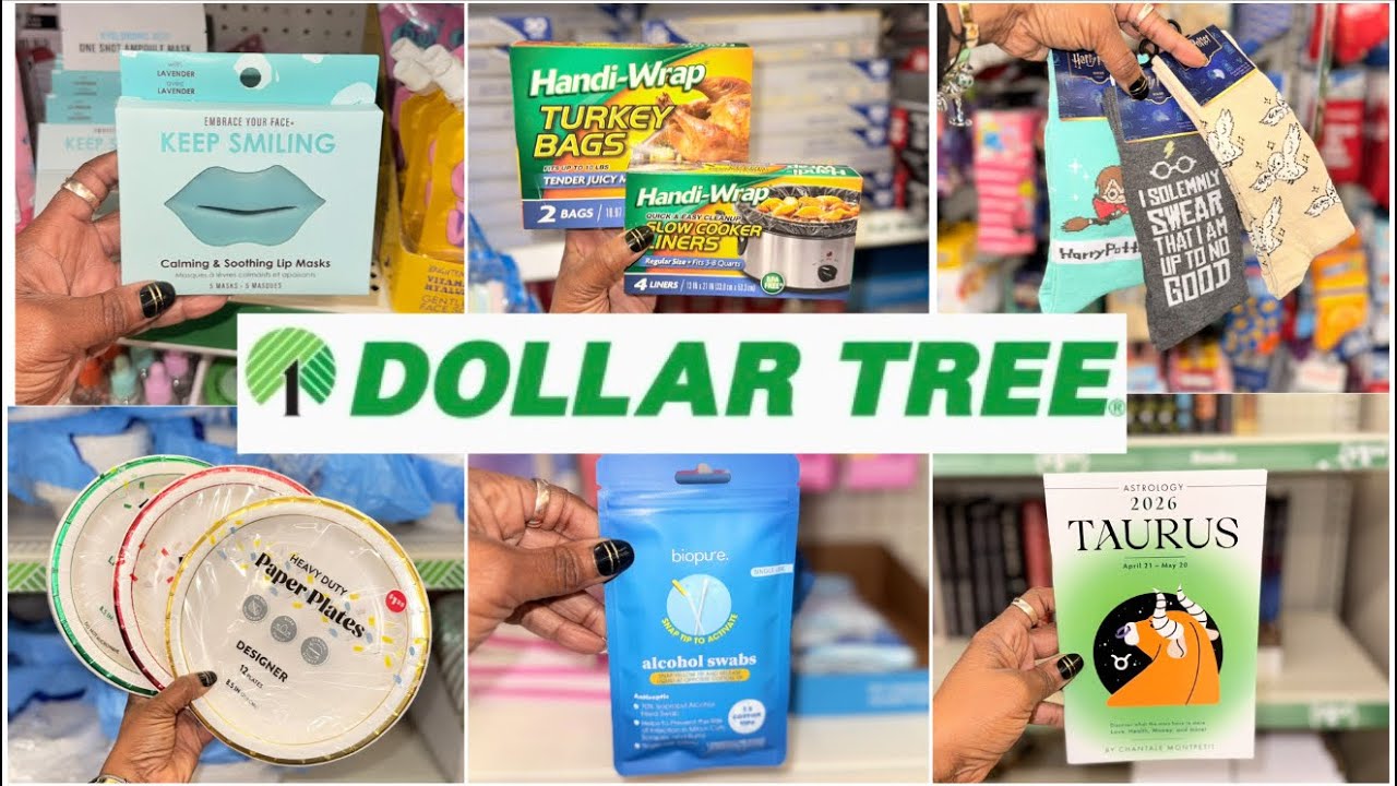 DOLLAR TREE SHOP WITH ME | EVERY VISIT = NEW FINDS! 
