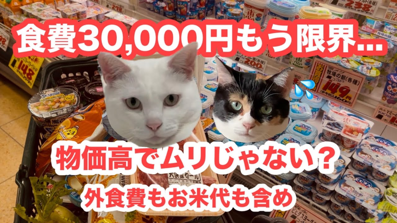 【食費節約】食費3万円…外食費もお米代も込みで足りる？