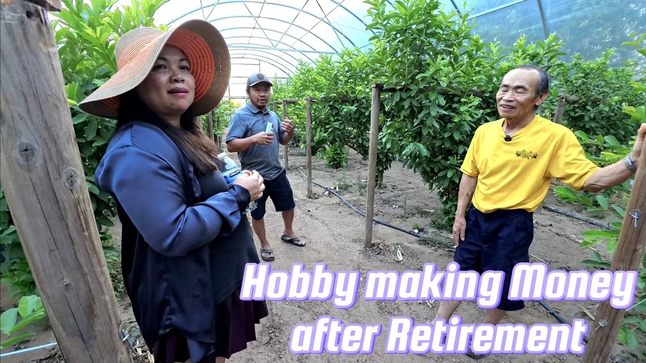 Enjoy what you love after Retirement / Lao family with bamboo & fruit farming at home on 3.7 acres.