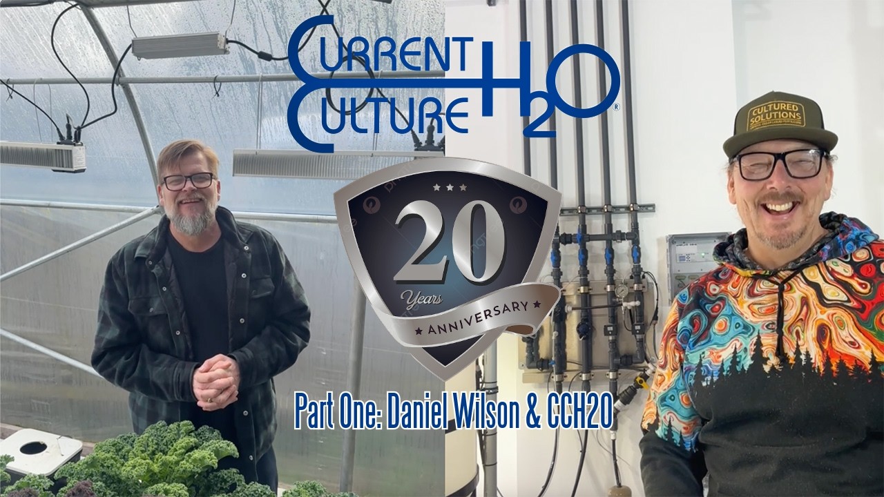 Current Culture H2O 20th Anniversary Interview Part One: Daniel Wilson discusses the birth of RDWC