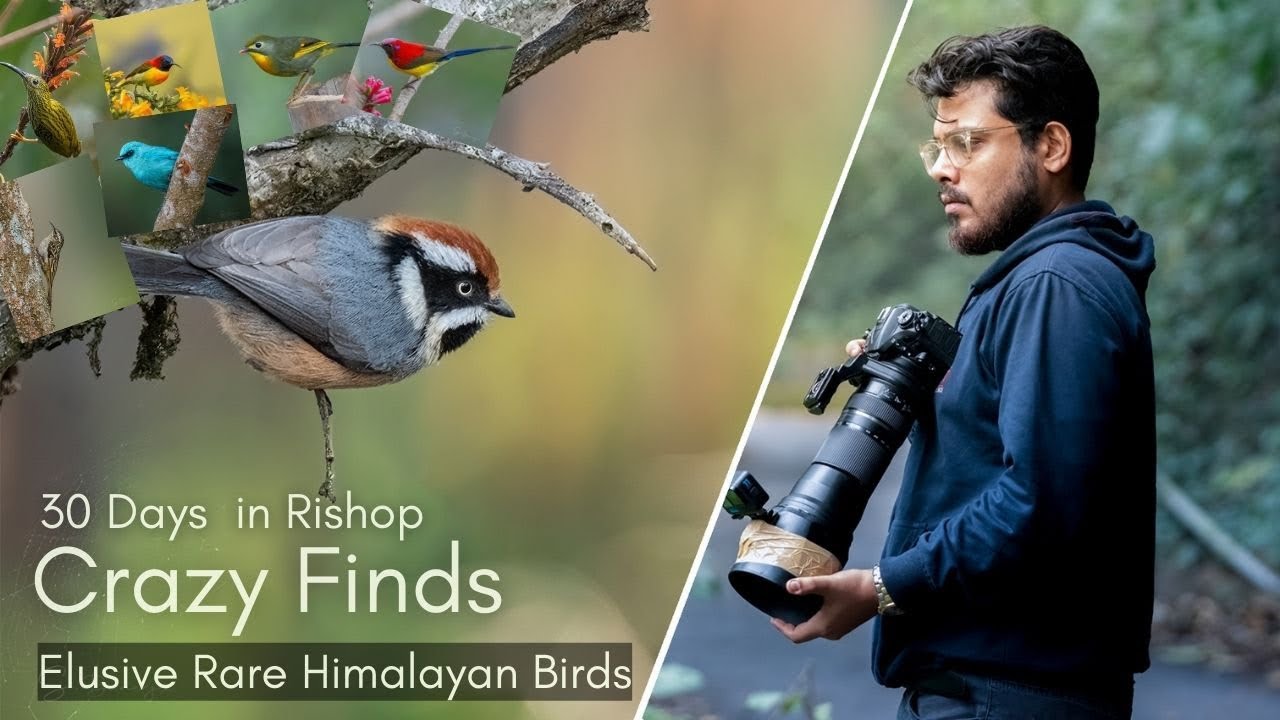 30 Days in Rishop | Crazy Finds | Elusive & Rare Himalayan Birds | Bird Photography Challenge