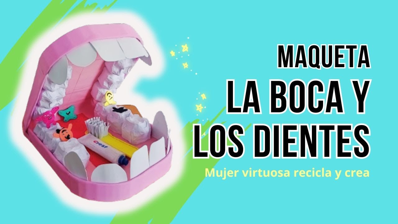 Maqueta grande de la boca y sus dientes ♻🤩MVRC♻