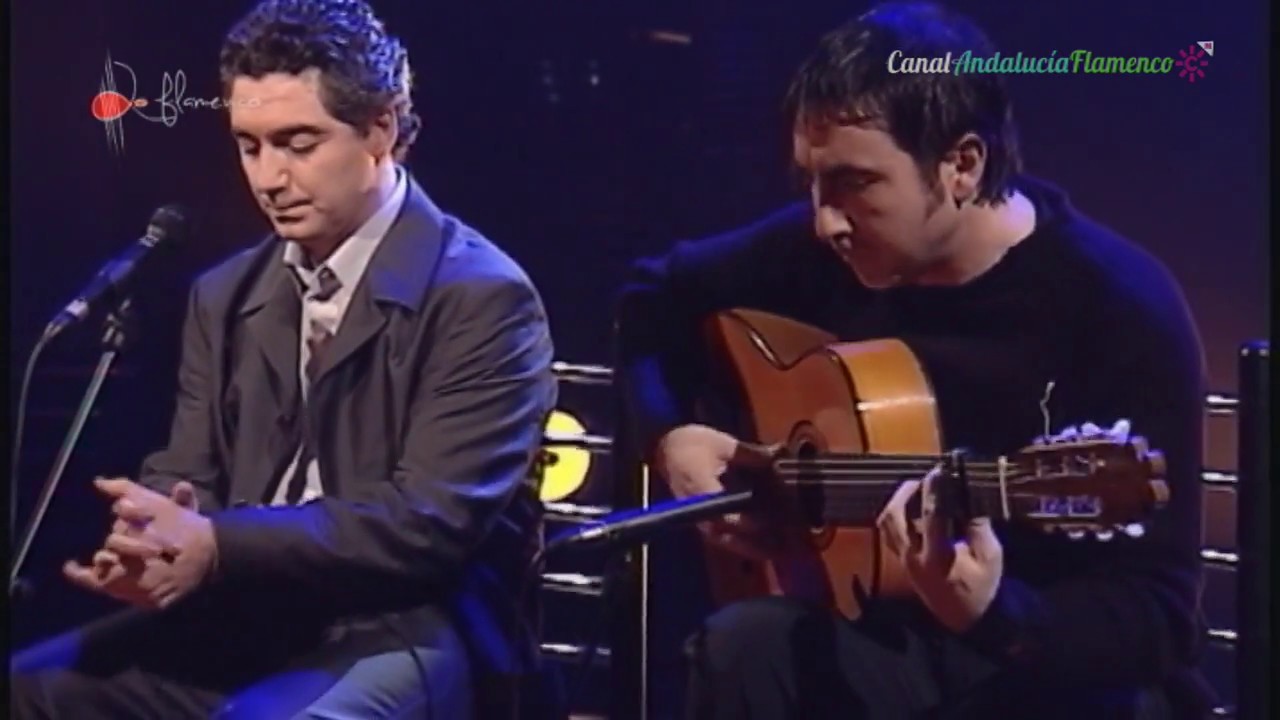 Jaleos. Segundo Falcón. 2003