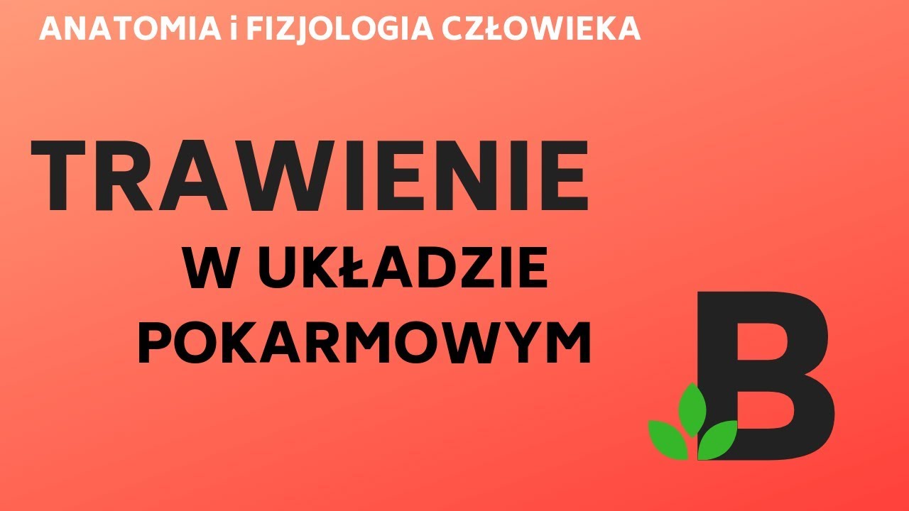 TRAWIENIE białek lipid&oacute;w węglowodan&oacute;w - ANATOMIA i FIZJOLOGIA - KOREPETYCJE z BIOLOGII - 263