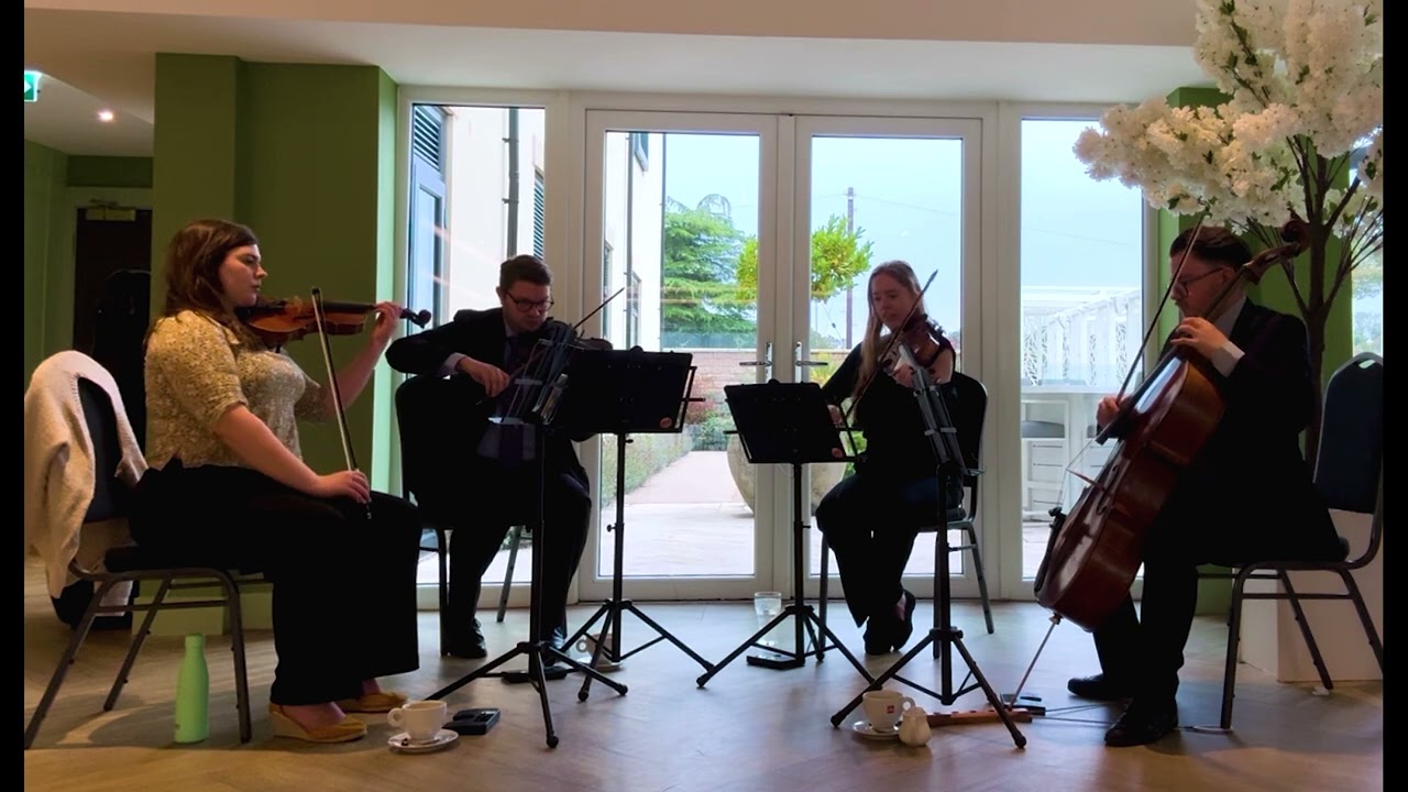 Alerion Strings Wedding String Quartet - When She Loved Me - Toy Story 2