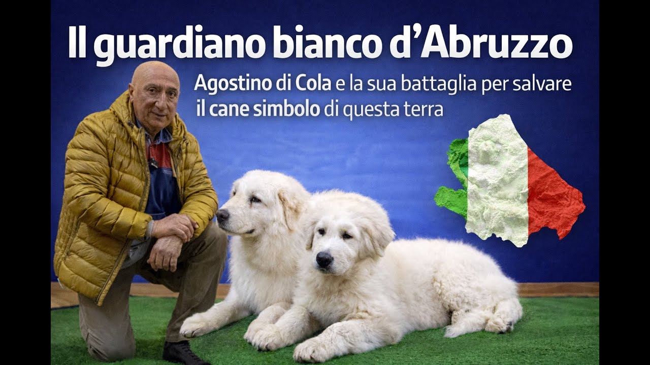 Il guardiano bianco d'Abruzzo