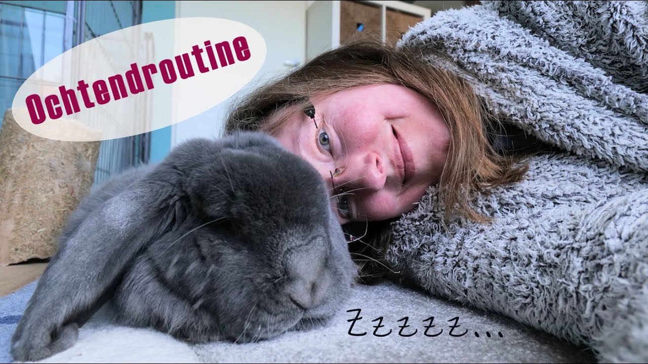 OCHTENDROUTINE met mijn KONIJNEN: wat doen wij 's ochtends allemaal?