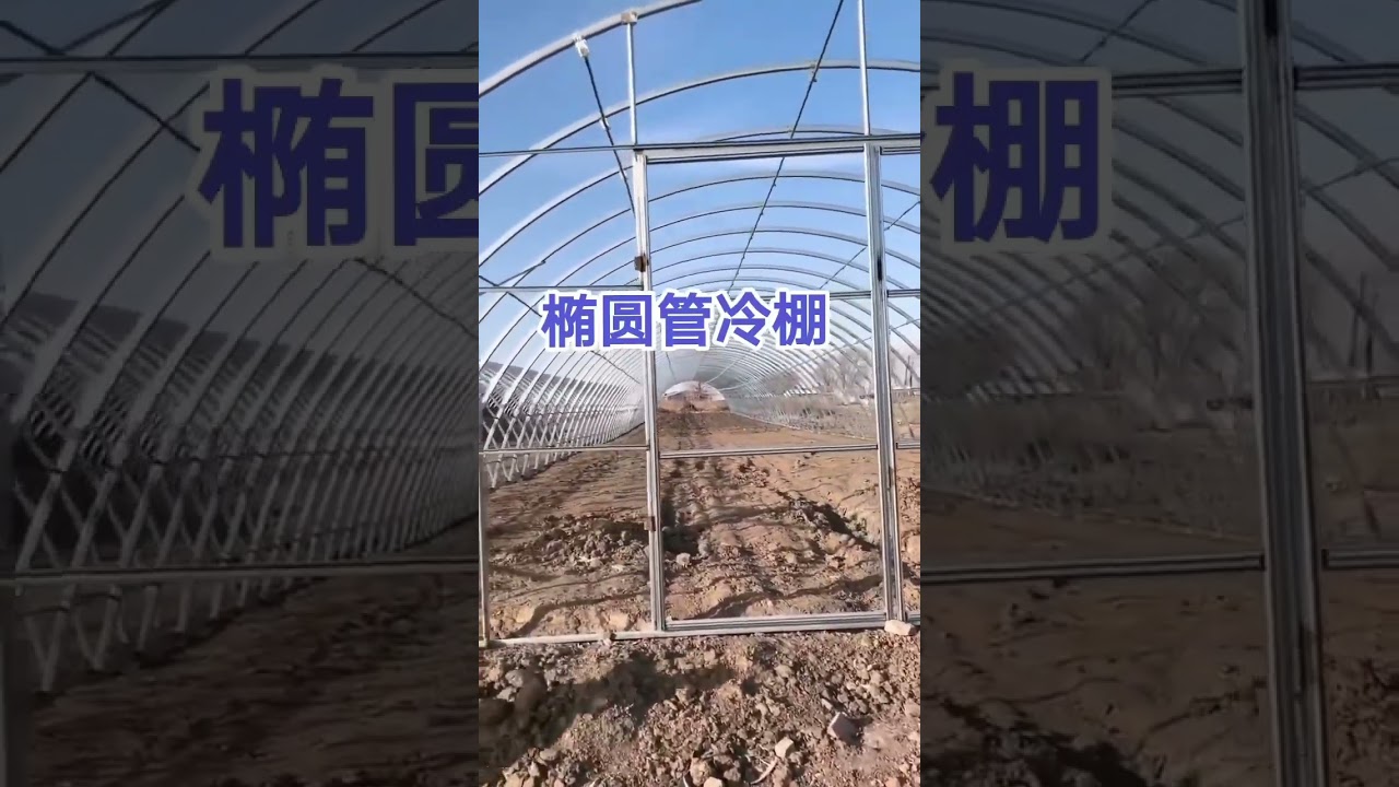 Oval pipe cold shed framework 