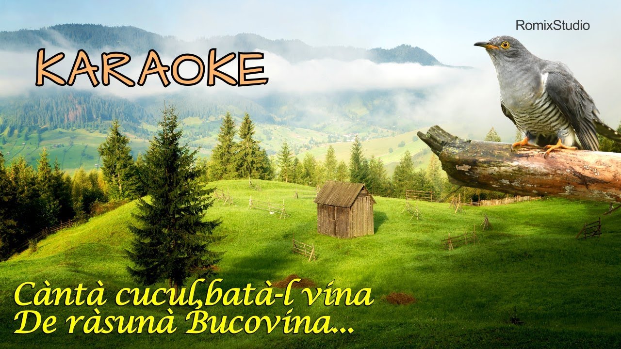 Karaoke 🆕 La minor ▶️ Canta cucul bata-l vina de rasuna Bucovina🔥Negativ [NOU-2024] ✅