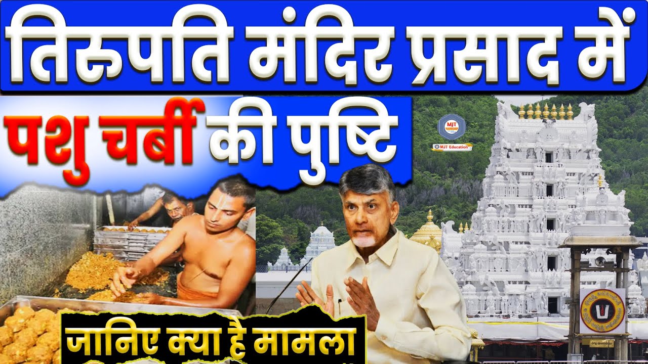 Fat in Tirupati Temple Laddus? The Controversy Explained Tirupati Balaji Prasad Beef Charbi Fish oil