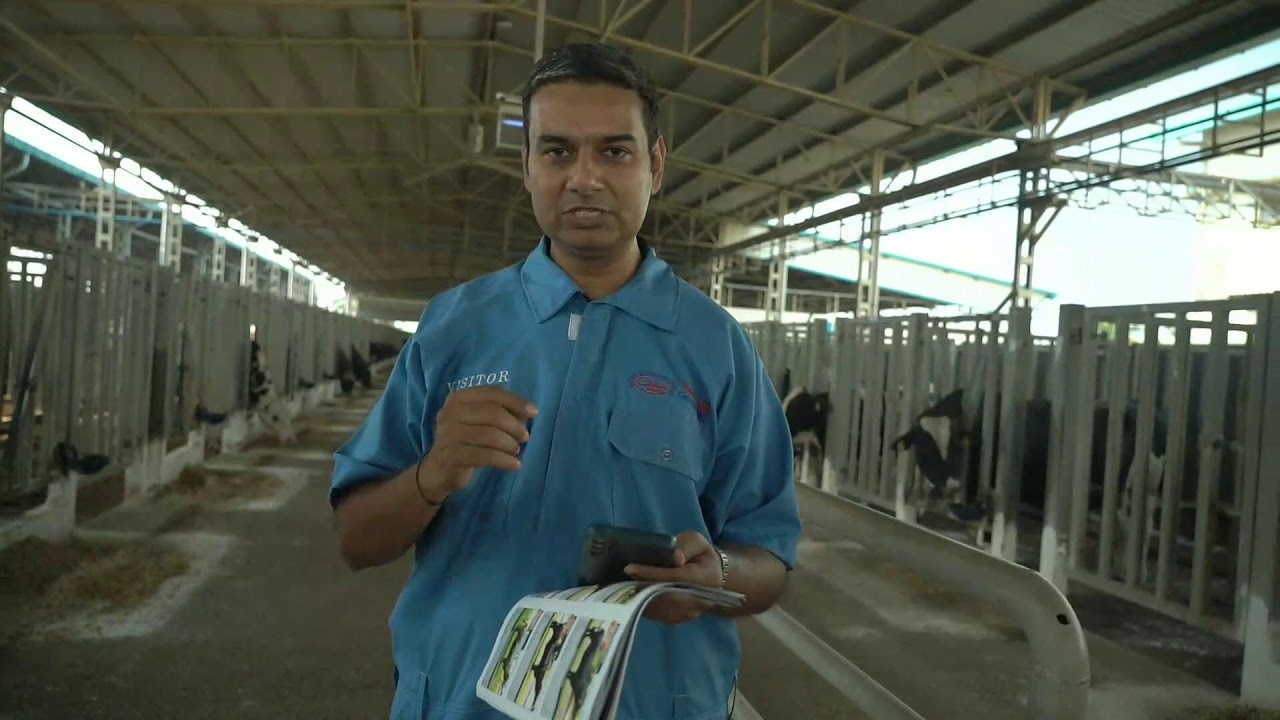 ABS INDIA LIVE BULL PARADE SESSION 01