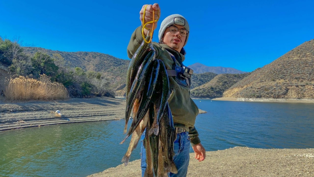 Trout LIMITS at Pyramid Lake