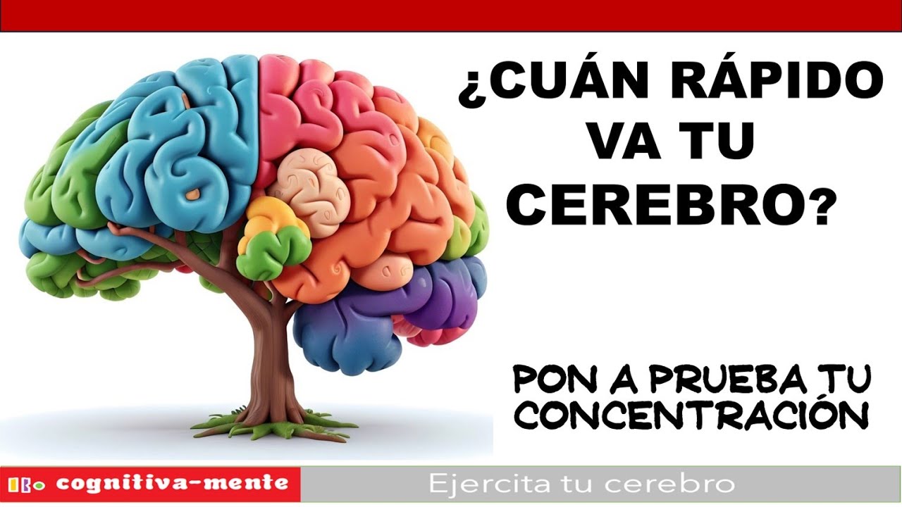 ACTIVA TU CEREBRO AL 100% 👉 Ejercicios cognitivos para mantener tu mente en forma