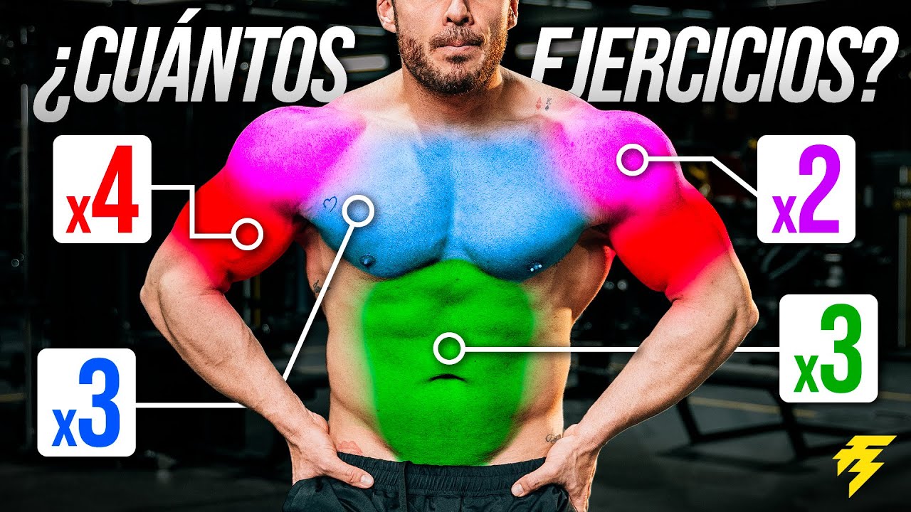 &iquest;Cu&aacute;ntos Ejercicios hacer para Cada M&uacute;sculo? (m&aacute;ximo crecimiento)
