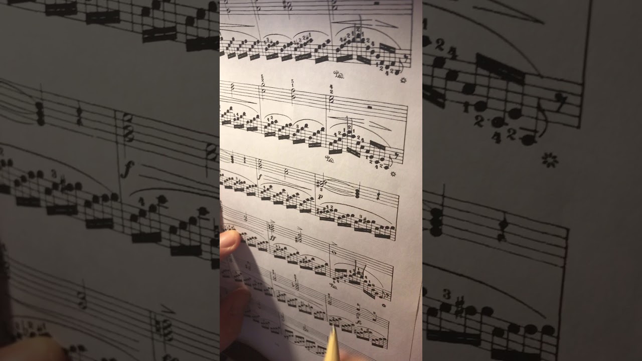 Серия «Упражнения и этюды» Г. Беренс 20 этюдов для детей H.Berens 20 Children-Studies op.79, book I