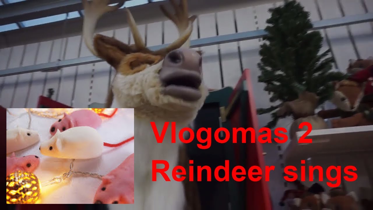 vlogomas #2 Trip to the garden center