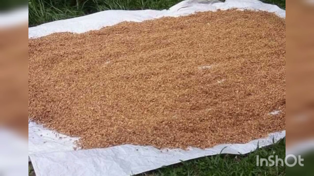 පොල් ලෙලි කැබලි කිරිම  පිලිබද මුලික උපදෙස්