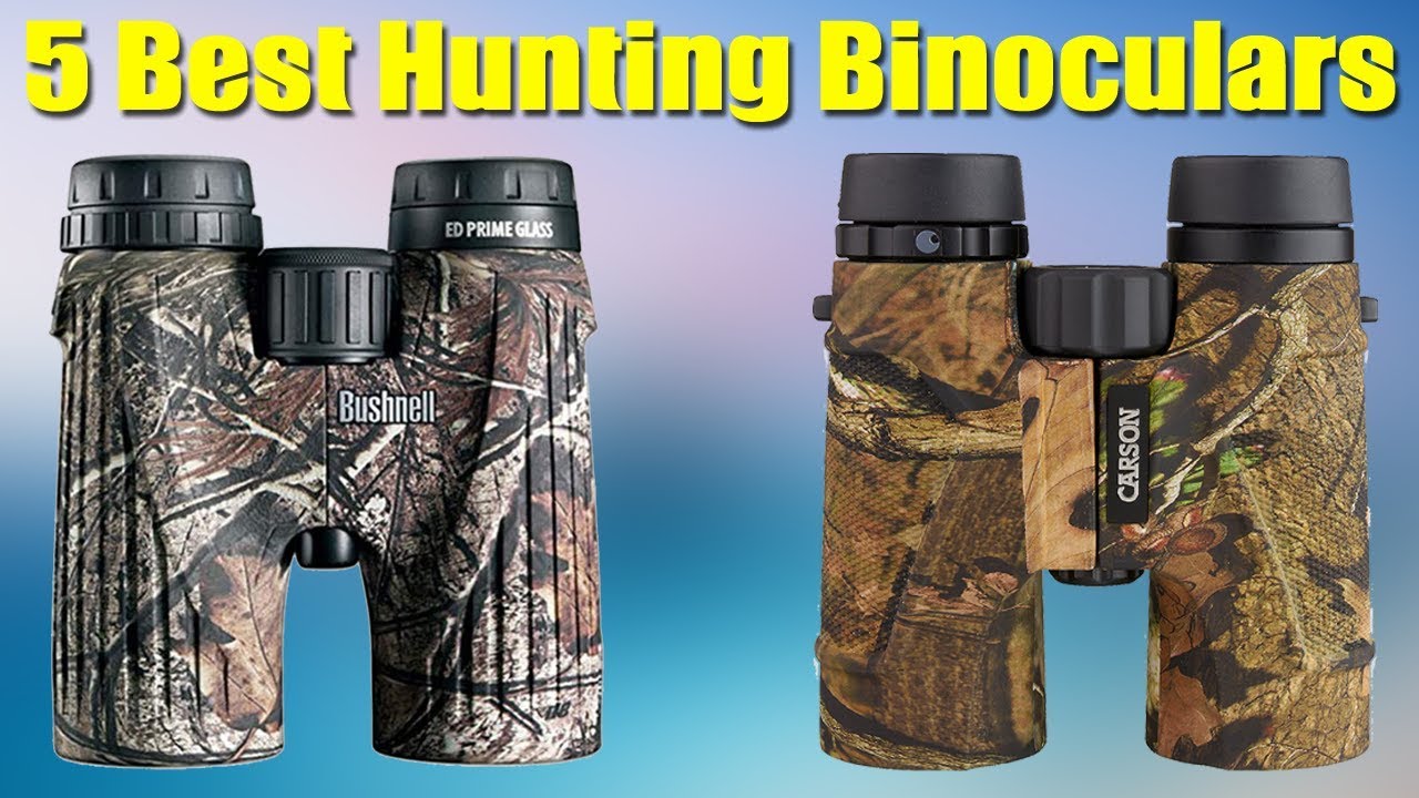 Top 5 Best Hunting Binoculars 2020