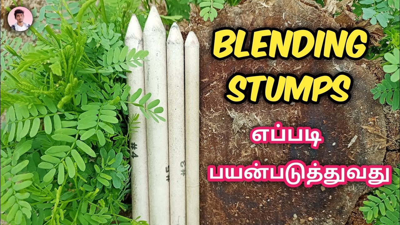How to use blending stumps tamil/#drawing #blendingstumps