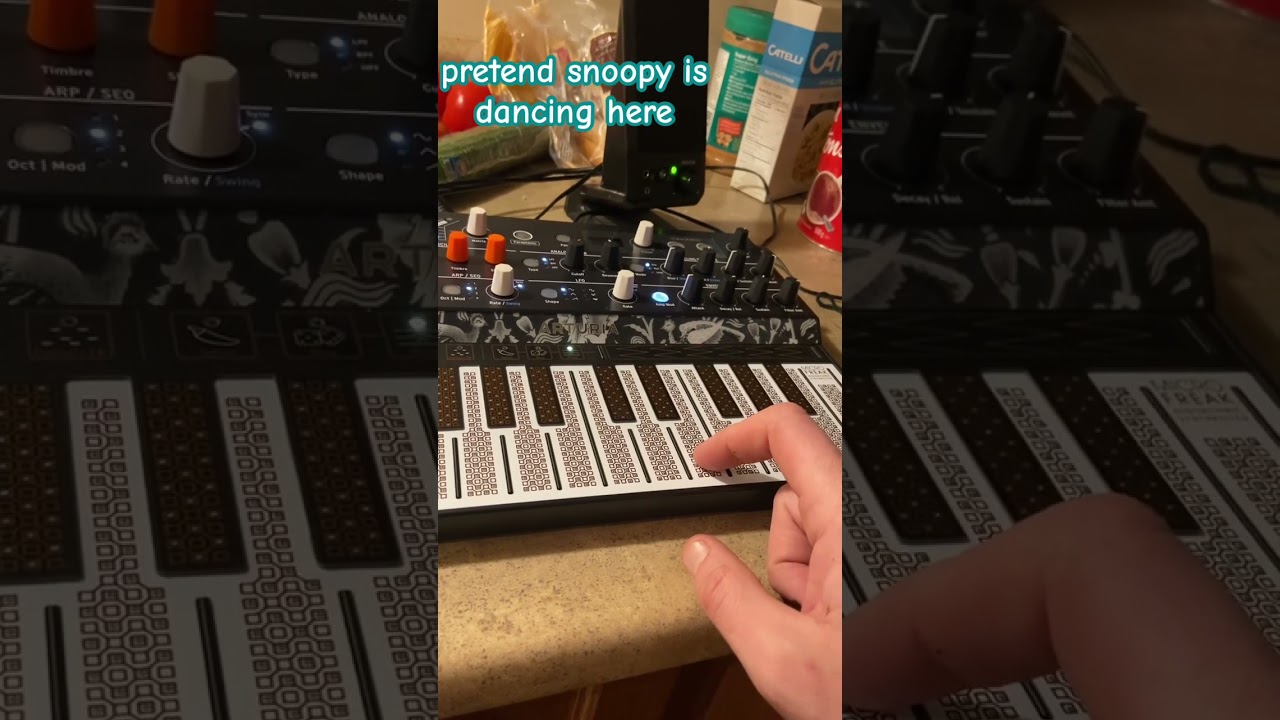 linus and lucy #arturia #microfreak #synthesizer #peanuts #snoopy #digitalmusic #analogfilter