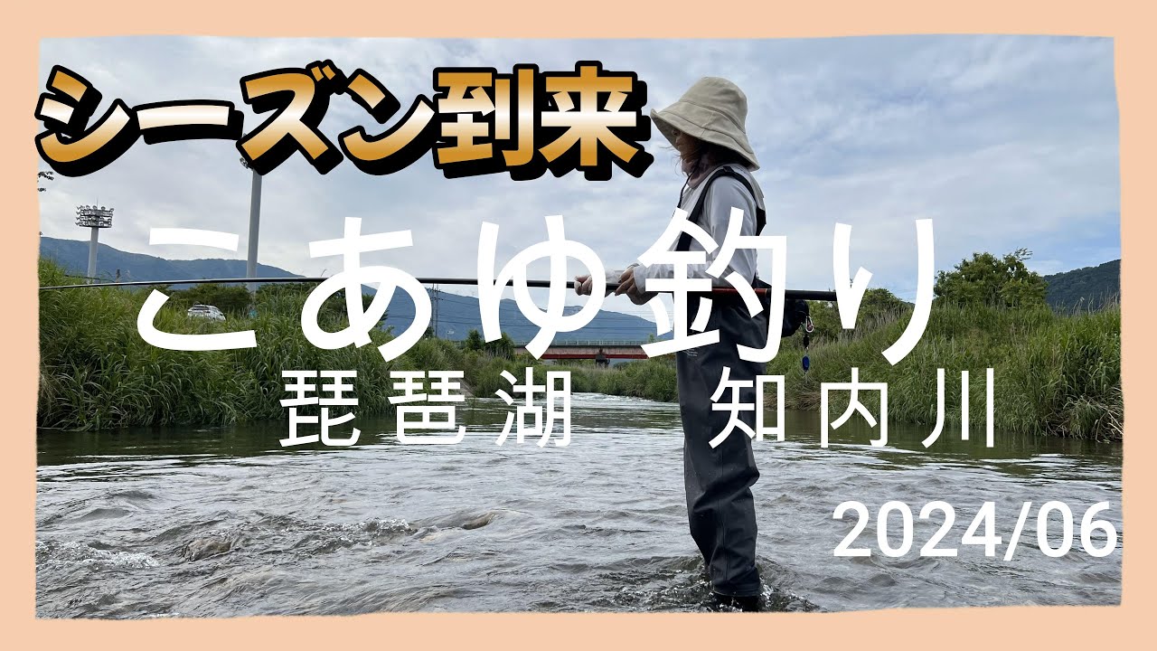 【入れ食いTV】久しぶりの知内川のこあゆ釣りに来ました。朝から釣れていたようです。また通いたいと思いますhttps://youtu.be/weOqgoI4be8