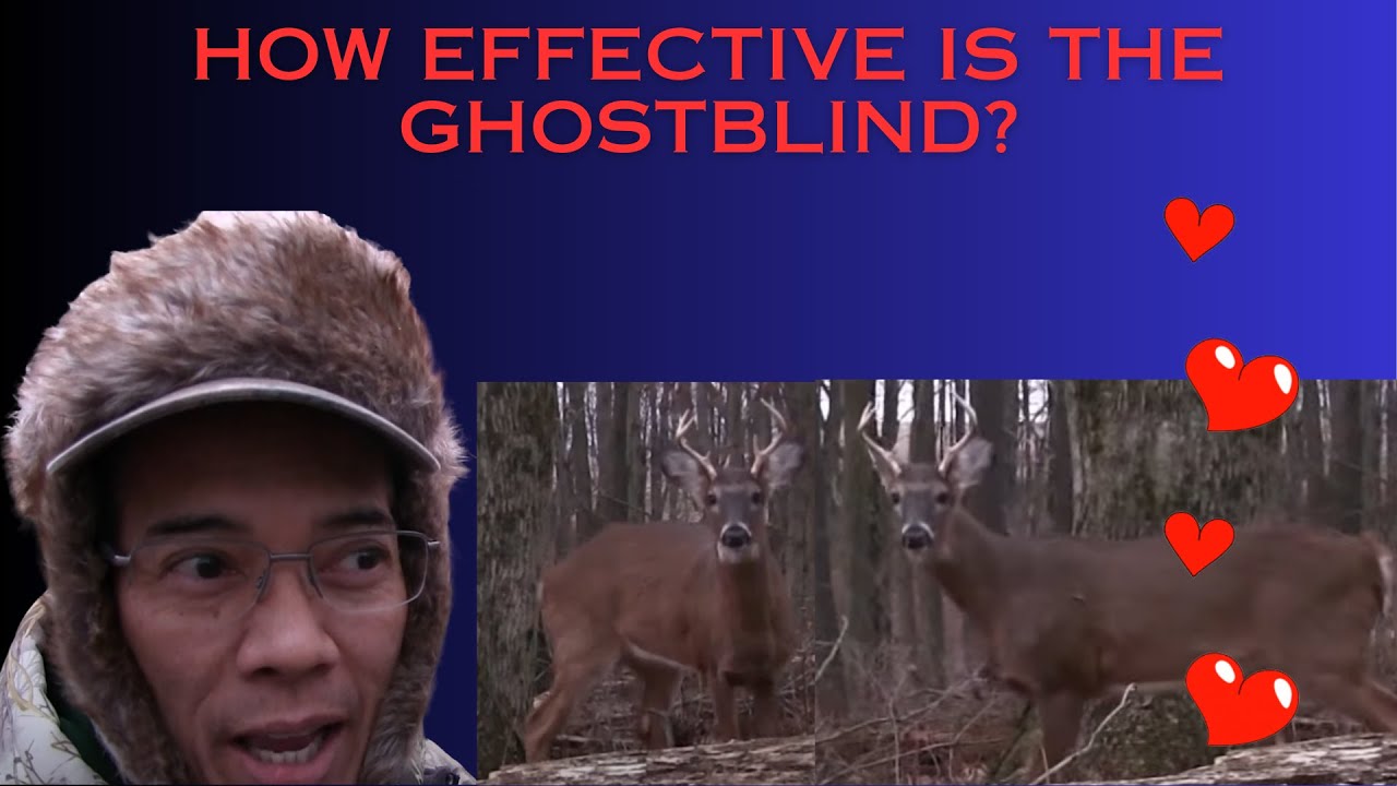 How Effective Is The GhostBlind