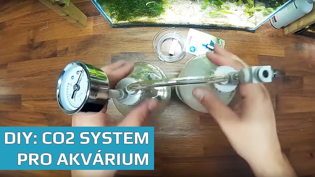 DIY CO2 system for aquarium - citric acid + baking soda | SURPAN.CZ