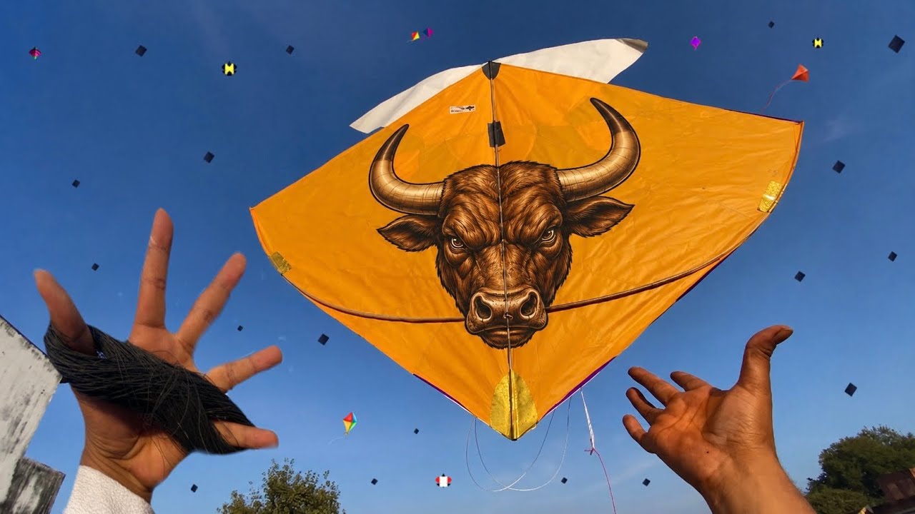 🪁KITE LOOTING NEW VIDEO 😘 | PATANG WALA 🔥| PATANG KI VIDEO 😎 | KITE | PATANG 🪁 